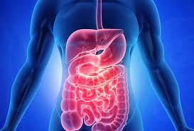 GASTROENTEROLOGY SERVICE