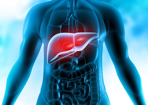 LIVER CARE